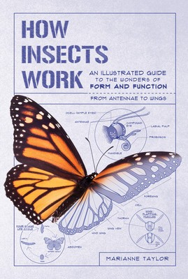 How Insects Work: An Illustrated Guide to the Wonders of Form and Function--From Antenna to Wings