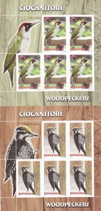 PASARI CIOCANITORI ,MINICOLI,Lp2093c, MNH,2016, ** ROMANIA.