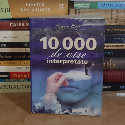 PAMELA BALL - 10 000 DE VISE INTERPRETATE , 2012 * foto