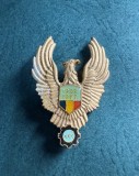 Insigna jubiliara RSR aviatie militara 30 ani 1952-1982