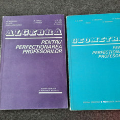 ALGEBRA/GEOMETRIE PENTRU PERFECTIONAREA PROFESORILOR 2 VOLUME ION D ION.