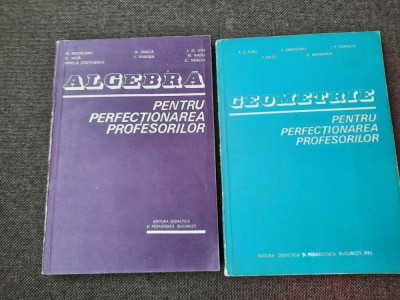 ALGEBRA/GEOMETRIE PENTRU PERFECTIONAREA PROFESORILOR 2 VOLUME ION D ION. foto