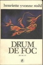 Drum de foc - roman - foto