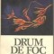 Drum de foc - roman -