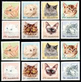 Ungaria 1968, Mi #2387-2394 A+B, dant + ned, fauna, pisici, MNH. Cota 148,50 &euro;!, Natura, Nestampilat