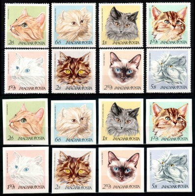 Ungaria 1968, Mi #2387-2394 A+B, dant + ned, fauna, pisici, MNH. Cota 148,50 &amp;euro;! foto
