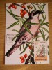 C12 - maxima Romania - tematica pasari 28 - prima zi a emisiunii sau expozitii, Romania de la 1950, Fauna