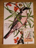 C12 - maxima Romania - tematica pasari 28 - prima zi a emisiunii sau expozitii, Romania de la 1950, Fauna