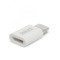Adaptor iPhone Lightning &gt; MicroUSB Best CarHome