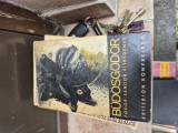 Budosgodor 1 lb. maghiara vintage