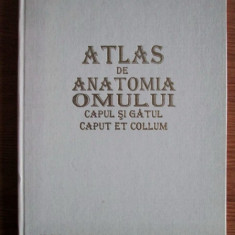 Ion Pasat - Atlas de anatomia omului. Capul si gatul (1995, editie cartonata)