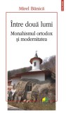 Intre doua lumi - Magdalena Iordache - Polirom