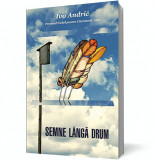 Semne langa drum - Curtea Veche
