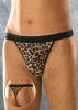 Tanga Sexy Barbati Leopard S/L Softline, Lenjerie Intima Barbati, Chilot Barbatesc Leopard Poliamida
