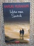 IUBITA MEA, SPUTNIK - Haruki Murakami