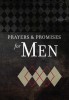 Prayers &amp; Promises for Men