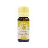 Cumpara ieftin Ulei esential de Ylang-Ylang (Cananga odorata), 100% pur fara adaos, 10 ml