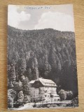 QW27 T - Carte postala - tematica turism - vedere - Romania - Timisul de jos 2, Circulata, Printata, Brasov