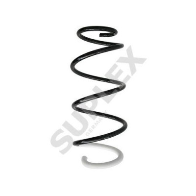Arc suspensie Renault Clio 3 (Br0/1, Cr0/1), 01.05-12.14; Modus / Grand Modus (F/Jp0), 09.04-, 1.4 16V, 1.6 16V (BR05, BR0B, BR0Y, BR15, BR1J, BR1M, foto