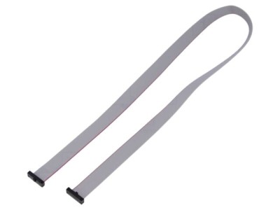 Cablu panglică SAMTEC IDC 609,6mm FFSD-10-D-24.00-01-N cu conectori IDC dublu foto