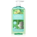 PAPOUTSANIS Karavaki Control &amp; Detox șampon pentru scalp gras și uscat 600 ml