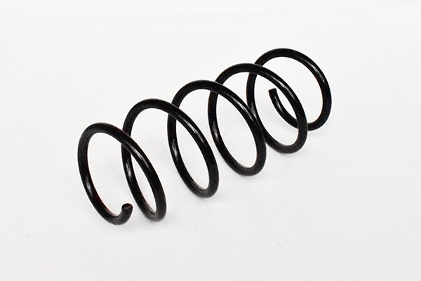 Arc Suspensie Fata 65893 NGH 02.03.014