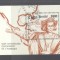 Cambodia 1991 Columbus Mi.B185 used TA.155
