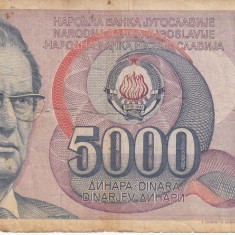 M1 - Bancnota foarte veche - Fosta Iugoslavia - 5000 dinarI - 1985