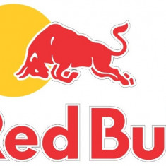 Sticker Moto Red Bull 22x15cm Stanga