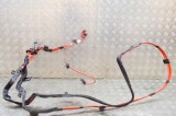 Cablu baterie pozitiv BMW 4 Cabrio F33, F83 2015 OEM: 9348763,7348762,9229861 15503850
