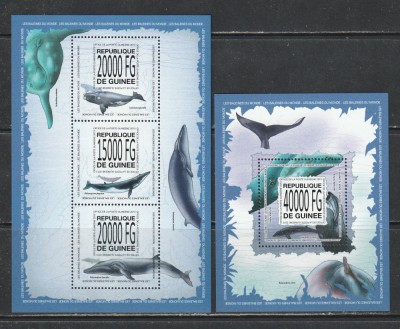 Guinea 2013 - Balene S/S 2v MNH foto