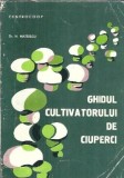 Ghid cultivator ciuperci N. Mateescu Editura recoop 1989 255 pagini Coperta cartonata Stare buna