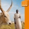 Bradt South Sudan