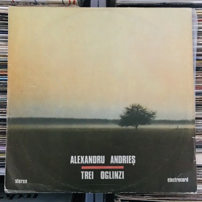 Disc Vini ALEXANDRU ANDRIEȘ &amp;ndash; Trei Oglinzi (1990) foto