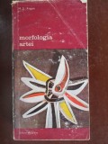 Morfologia artei-M.S.Kagan