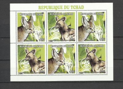 CHAD 1998 FAUNA ANIMALE SALBATICE CAINI SALBATICI SI FENEC foto