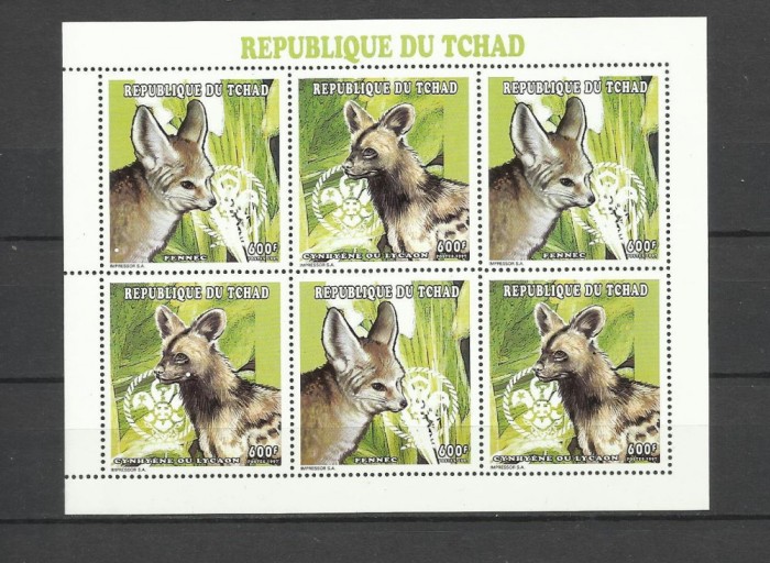 CHAD 1998 FAUNA ANIMALE SALBATICE CAINI SALBATICI SI FENEC