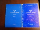 ATLAS DE ANATOMIE UMANA - Fasc. I+II - Trandafir Traian - 1993, Alta editura