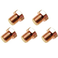 Set de 5 dopuri pentru baia de ulei M13x1.50