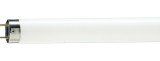 Tub Fluorescent TL-D Food 30W