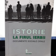 Istorie la Firul Ierbii - Zoltan Rostas , Sorin Stoica (CONTINE DEDICATIA LUI ZOLTAN ROSTAS)