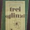 TREI OGLINZI - Mircea Horia Simionescu