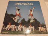 Disc vinil Ansamblul Ciocarlia, editia pentru export