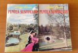 Michel Zevaco - Puntea suspinelor (2 volume)