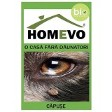 Insecticid Natural Diatomee Capuse Caini Homevo 50g, Elimina Oua si Larve, Protectie Sigura, Bio