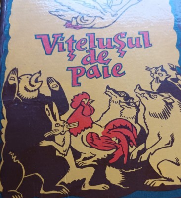 VITELUSUL DE PAIE foto