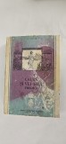Cauta si Vei Afla - Predici P.I. David, Editura Episcopiei Argesului ANUL 1996 , PAGINI 636 .