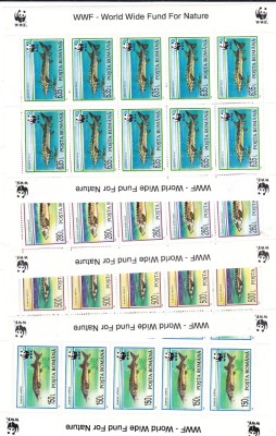 ROMANIA 1994 LP 1359 a FAUNA OCROTITA - STURIONI COLI MICI DE 10 MNH foto