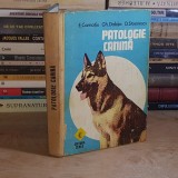E. CARNATIU - PATOLOGIE CANINA , 1982 ( CU UNELE SUBLINIERI ) *
