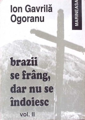 BRAZII SE FRANG, DAR NU SE INDOIESC VOL.2-ION GAVRILA-274322 foto
